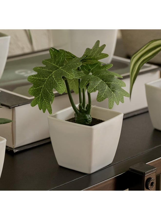 Home Box Evergreen Nordic Style Artificial Succulent Set for Home - Image 2